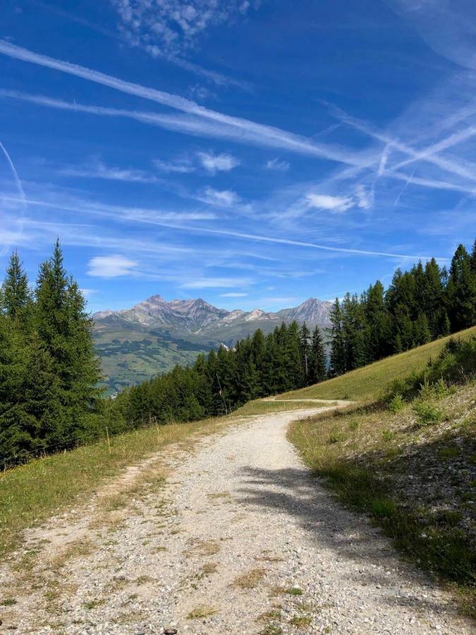 Le Falyoucher Peisey-Nancroix Exterior photo